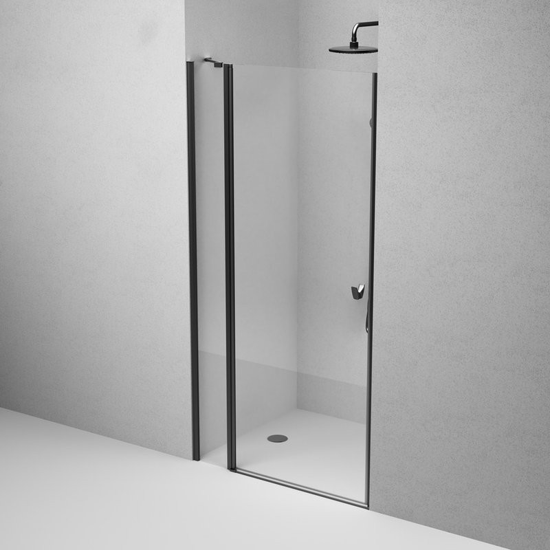 Душевая дверь в нишу AM.PM Sunny W87G-100-1P-BT 100 см