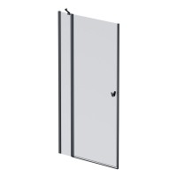 Душевая дверь в нишу AM.PM Sunny W87G-100-1P-BT 100 см