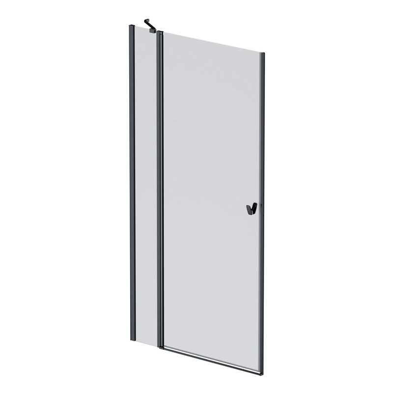 Душевая дверь в нишу AM.PM Sunny W87G-100-1P-BT 100 см