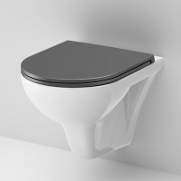 Унитаз подвесной AM.PM Gem FlashClean C901700SCmb