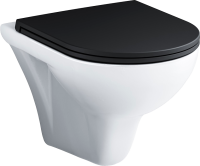 Унитаз подвесной AM.PM Gem FlashClean C901700SCmb