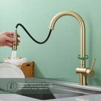 Смеситель для кухни с выдвижным изливом Splenka S204.49.03, золотой сатин