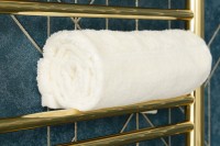 Полотенцесушитель электрический Сунержа Богема 3.1 020-6006-6050 70x55 см, подключение слева, шампань, лесенка, с полкой