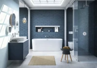 Кнопка смыва Villeroy & Boch Viconnect 922400RE белая глянцевая Кнопка смыва Villeroy & Boch Viconnect 922400RE белая глянцевая