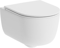 Унитаз подвесной Damixa Sirius DX86C1700SC с микролифтом