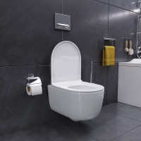 Унитаз подвесной Damixa Sirius DX86C1700SC с микролифтом