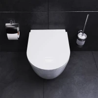 Унитаз подвесной Damixa Sirius DX86C1700SC с микролифтом Унитаз подвесной Damixa Sirius DX86C1700SC с микролифтом