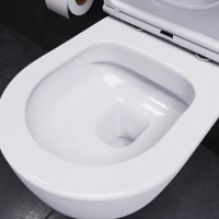 Унитаз подвесной Damixa Sirius DX86C1700SC с микролифтом Унитаз подвесной Damixa Sirius DX86C1700SC с микролифтом