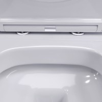 Унитаз подвесной Damixa Sirius DX86C1700SC с микролифтом