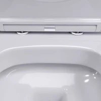 Унитаз подвесной Damixa Sirius DX86C1700SC с микролифтом Унитаз подвесной Damixa Sirius DX86C1700SC с микролифтом