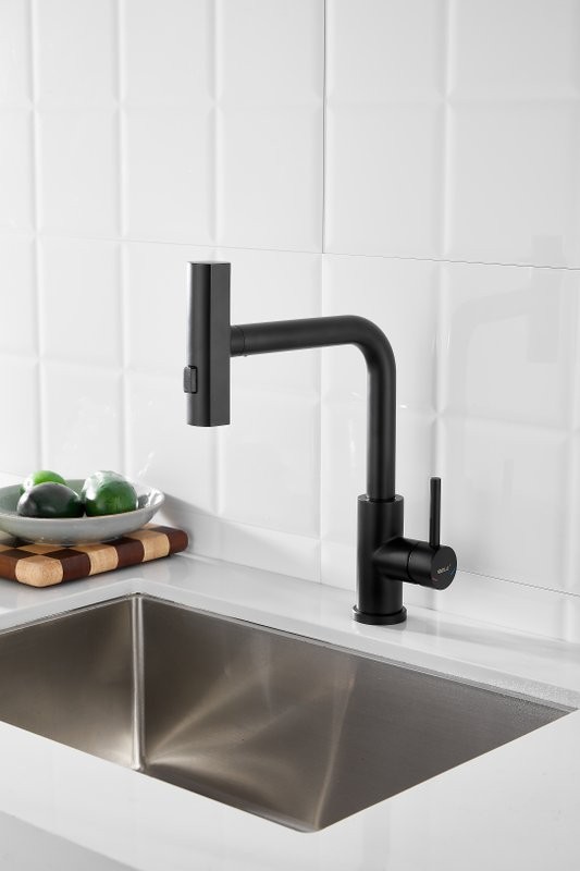 Смеситель для кухни BELZ B811 B74811-7 черный