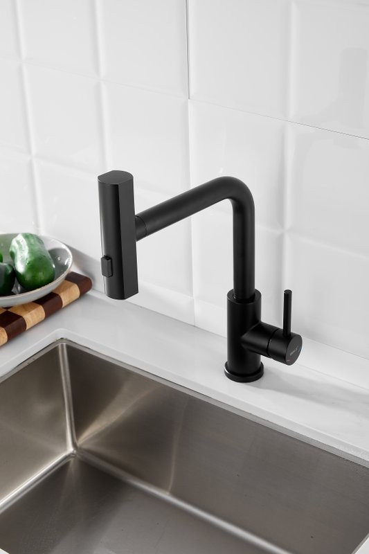 Смеситель для кухни BELZ B811 B74811-7 черный