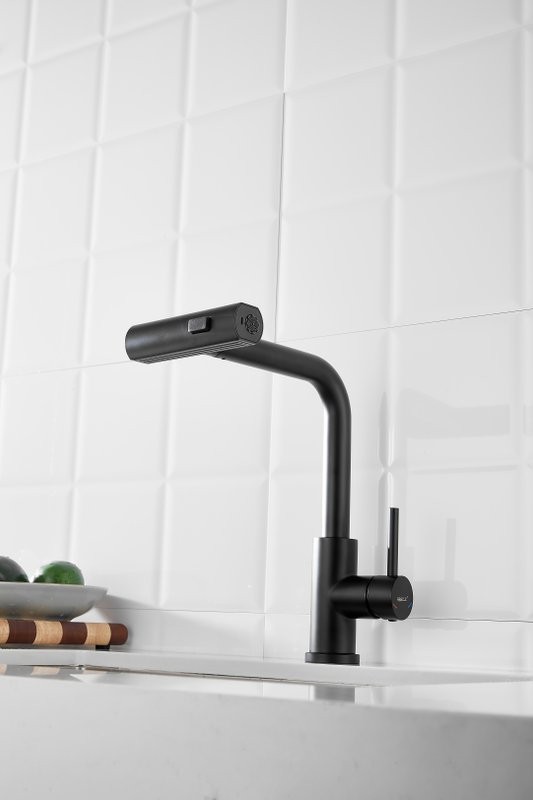 Смеситель для кухни BELZ B811 B74811-7 черный