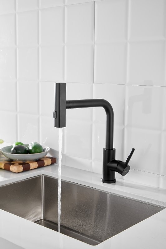 Смеситель для кухни BELZ B811 B74811-7 черный