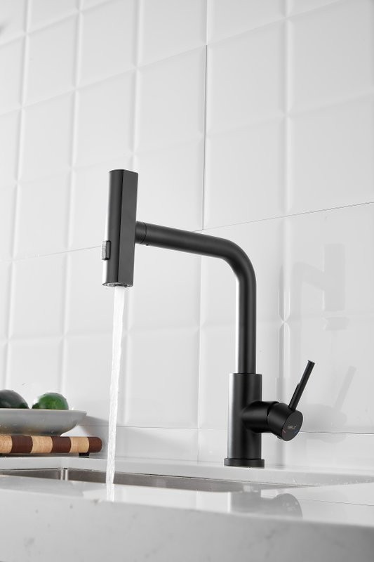 Смеситель для кухни BELZ B811 B74811-7 черный