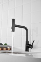 Смеситель для кухни BELZ B811 B74811-7 черный