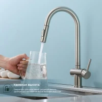 Смеситель для кухни с выдвижным изливом Splenka S204.49.05, сатин Смеситель для кухни с выдвижным изливом Splenka S204.49.05, сатин
