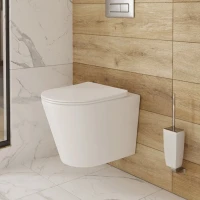 Унитаз подвесной IDDIS Calipso CALRNSEi25 безободковый, с микролифтом