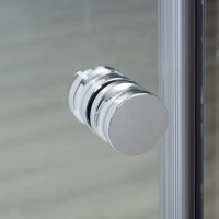 Душевая дверь в нишу Wasserkraft Vils 56R 12 100 см