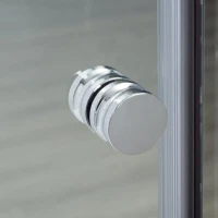 Душевая дверь в нишу Wasserkraft Vils 56R 12 100 см