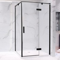 Душевой уголок Bravat Blackline 120х80х195, R