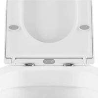 Комплект Lavinia Boho Унитаз подвесной Biore Rimless 3304102R + Крышка-сиденье Biore 33290410 с микролифтом + Инсталляция RelFix 38010010 + Кнопка RelFix 380502MB матовая черная, хром
