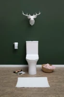 Унитаз-компакт напольный Aquanet Roll