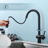 Смеситель для кухни с выдвижным изливом Splenka S204.49.06, черный