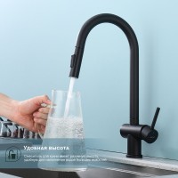 Смеситель для кухни с выдвижным изливом Splenka S204.49.06, черный