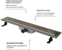 Душевой трап (лоток) RGW Drain Leo-11 хром, 60 см