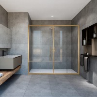 Душевая дверь Vincea Garda VDS-1G2170CLG, 1700, брашированное золото, стекло прозрачное Душевая дверь Vincea Garda VDS-1G2170CLG, 1700, брашированное золото, стекло прозрачное