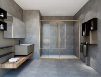 Душевая дверь Vincea Garda VDS-1G2170CLG, 1700, брашированное золото, стекло прозрачное Душевая дверь Vincea Garda VDS-1G2170CLG, 1700, брашированное золото, стекло прозрачное