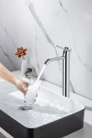 Смеситель для раковины Allen Brau Priority 5.31A02-00 хром Смеситель для раковины Allen Brau Priority 5.31A02-00 хром