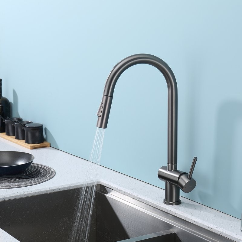 Смеситель для кухни с выдвижным изливом Splenka S204.49.09, графит