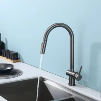 Смеситель для кухни с выдвижным изливом Splenka S204.49.09, графит Смеситель для кухни с выдвижным изливом Splenka S204.49.09, графит
