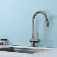 Смеситель для кухни с выдвижным изливом Splenka S204.49.09, графит Смеситель для кухни с выдвижным изливом Splenka S204.49.09, графит