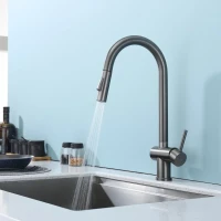 Смеситель для кухни с выдвижным изливом Splenka S204.49.09, графит Смеситель для кухни с выдвижным изливом Splenka S204.49.09, графит