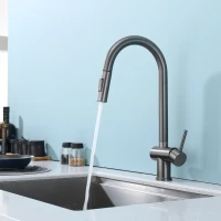 Смеситель для кухни с выдвижным изливом Splenka S204.49.09, графит Смеситель для кухни с выдвижным изливом Splenka S204.49.09, графит