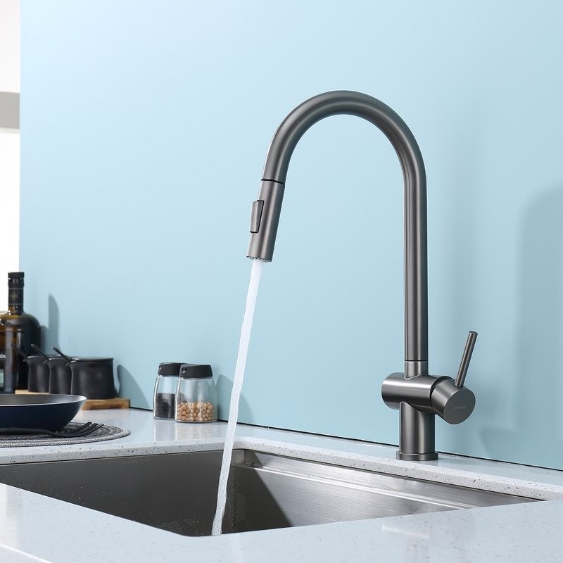 Смеситель для кухни с выдвижным изливом Splenka S204.49.09, графит