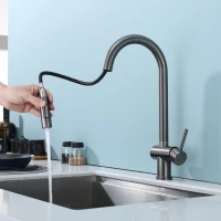 Смеситель для кухни с выдвижным изливом Splenka S204.49.09, графит Смеситель для кухни с выдвижным изливом Splenka S204.49.09, графит