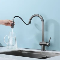 Смеситель для кухни с выдвижным изливом Splenka S204.49.09, графит Смеситель для кухни с выдвижным изливом Splenka S204.49.09, графит