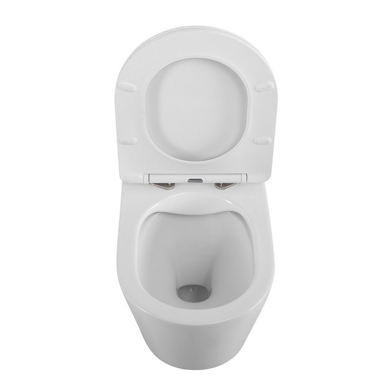 Унитаз подвесной BelBagno Flay-r BB053CHR/SC безободковый, с микролифтом, белый глянцевый