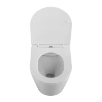 Унитаз подвесной BelBagno Flay-r BB053CHR/SC безободковый, с микролифтом, белый глянцевый
