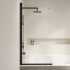 Шторка на ванну RGW Screens SC-109B 800x1500, профиль черный, стекло прозрачное