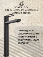 Смеситель для раковины Caprigo Kub 54-023-ner черный