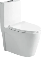 Унитаз-моноблок напольный SantiLine SL-5012 с микролифтом