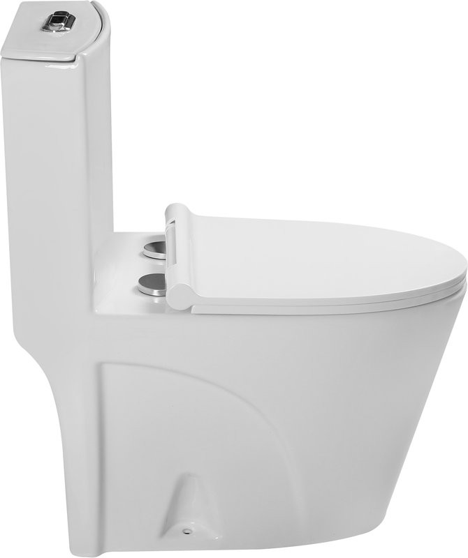 Унитаз-моноблок напольный SantiLine SL-5012 с микролифтом