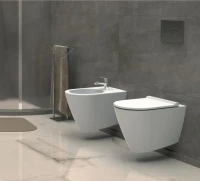 Унитаз подвесной beWash Alesta ALKA054H1VE0W5SZ0 с сиденьем микролифт, с функцией биде, со смесителем