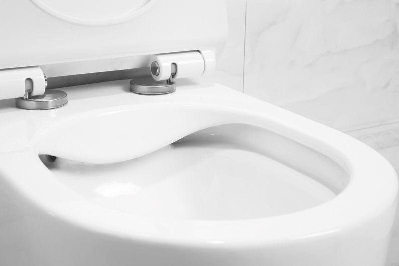 Унитаз подвесной Art&Max Bologna AM211CHR/AM211SC безободковый, с микролифтом, белый