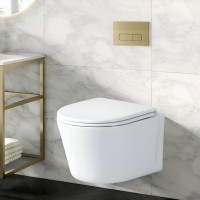 Унитаз подвесной Ceruttispa Santa Aria CT9666 безободковый, с микролифтом